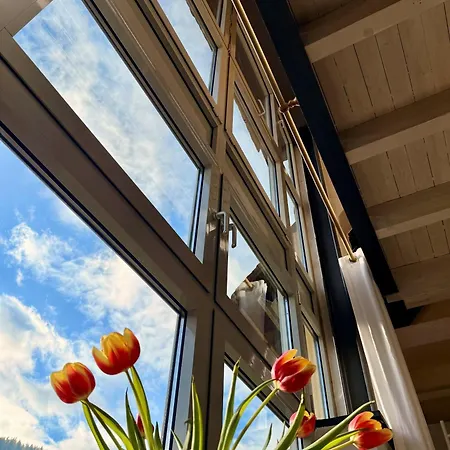 Urlaubsschmiede Mosel * Traben-Trarbach