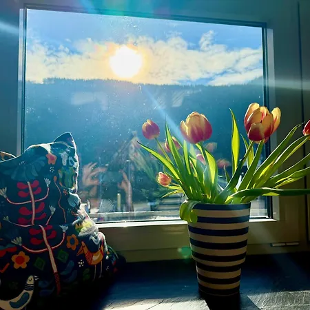 Apartamento Urlaubsschmiede Mosel